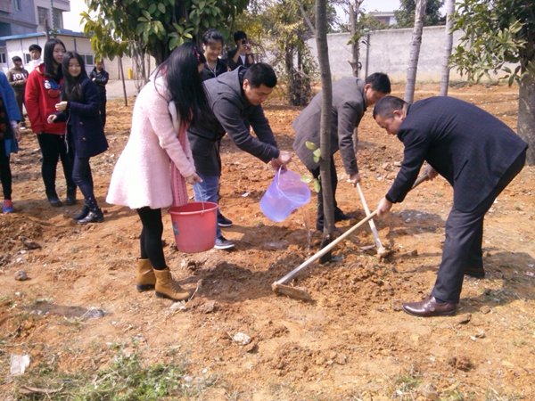 “公益，工艺去哪儿”之植树节活动